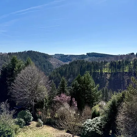 Haus Panoramablick - 1 アパート *