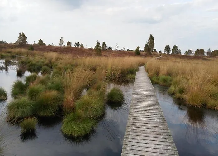 Haus Panoramablick - 1