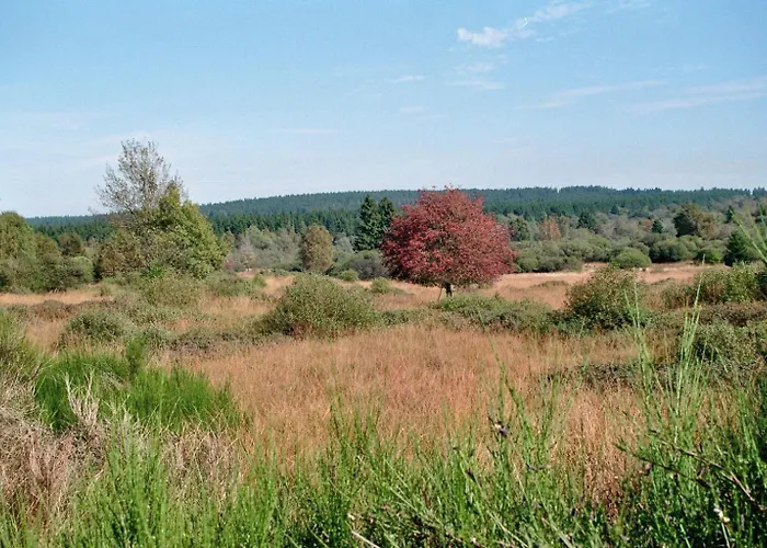 Haus Panoramablick - 1 * Monschau